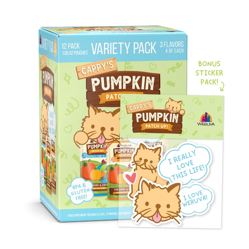 WERUVA Dog & Cat Pumpkin Patch Up 1.05oz Variety Pack 12 Pack professional product photo ready to upload to shopify