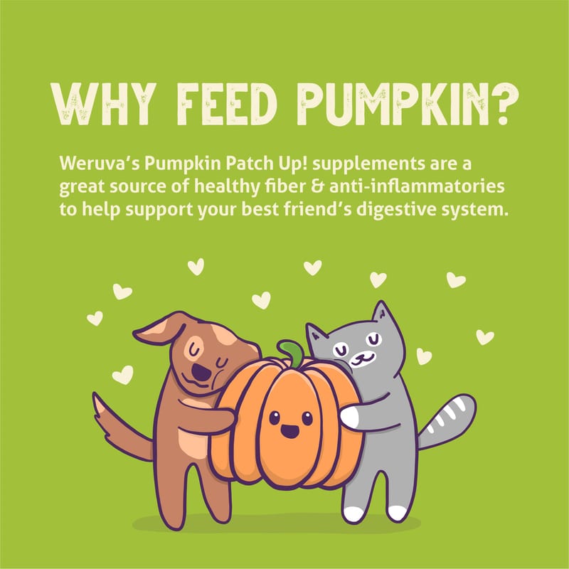 WERUVA Dog & Cat Pumpkin Patch Up 1.05oz Variety Pack 12 Pack professional product photo ready to upload to shopify