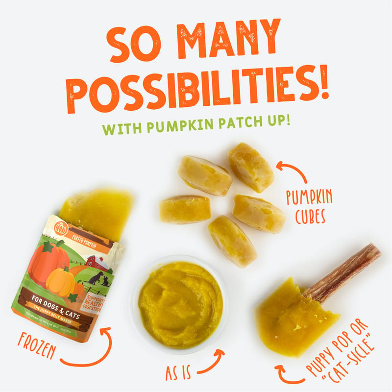 WERUVA DOG & CAT PUMPKIN PATCH UP PUMPKIN GINGER & TURMERIC 1.05OZ POUCH professional product photo ready to upload to shopify