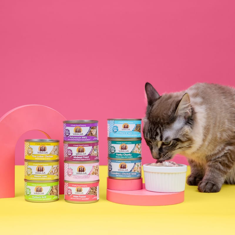 Weruva Meow Luau with Mackerel and Pumpkin Gravy 3oz professional product photo ready to upload to shopify