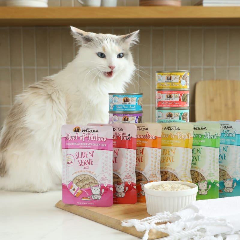 WERUVA Pate Variety Pack Wet Cat Food 5.5 Oz. Count of 12 professional product photo ready to upload to shopify