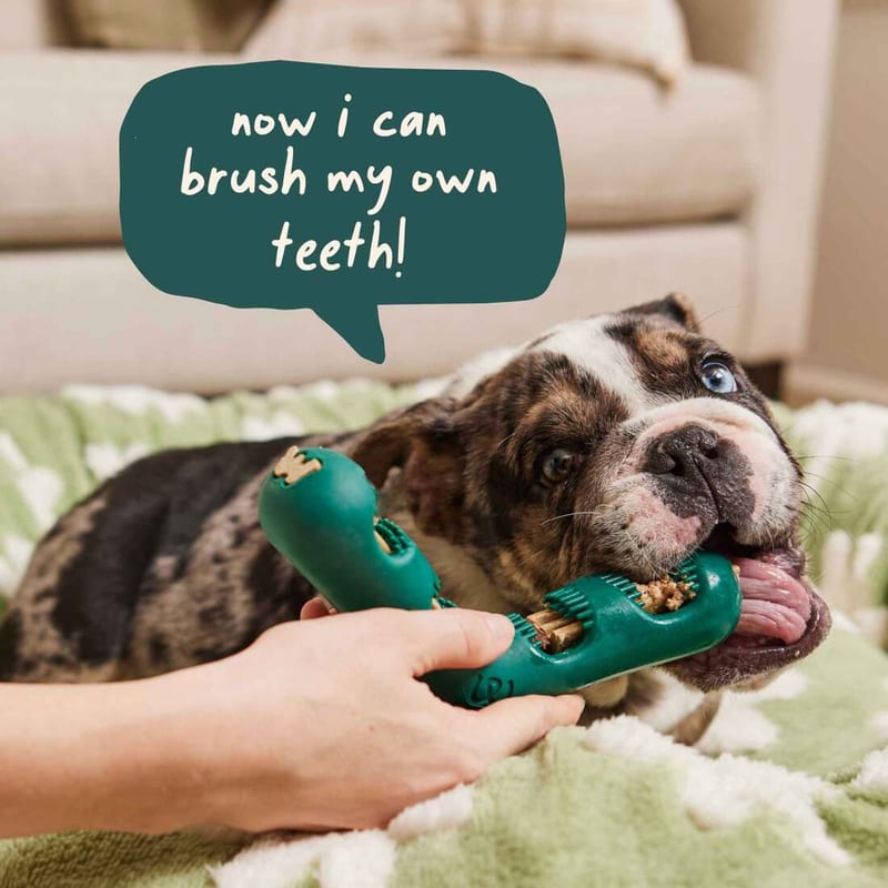WOOF Dog Bite N' Brush Chicken Sticks Refills Dental Treats 8 oz professional product photo ready to upload to shopify