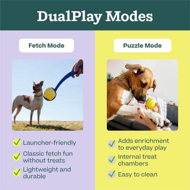 WOOF Dog Flyball Fetch Ball & Fits Standard Launchers Interactive Toy Yellow professional product photo ready to upload to shopify