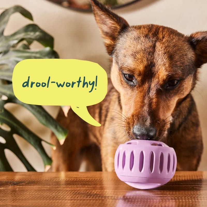 WOOF Dog Pupsicle Buddy Blue Small professional product photo ready to upload to shopify
