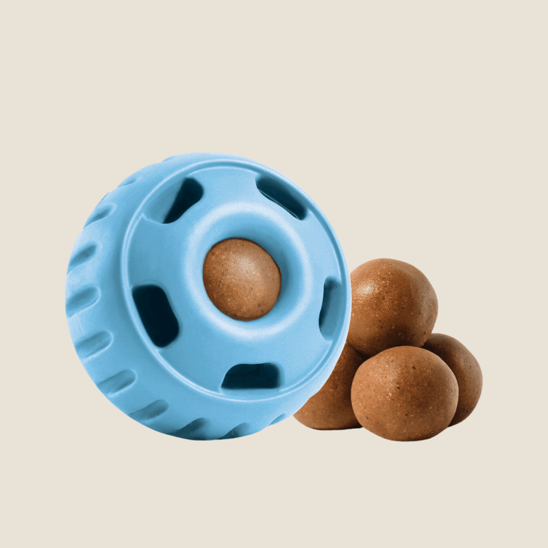 WOOF Dog Pupsicle Buddy Blue Small professional product photo ready to upload to shopify