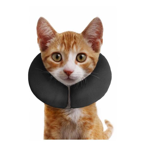 ZEN COLLAR XS professional product photo ready to upload to shopify