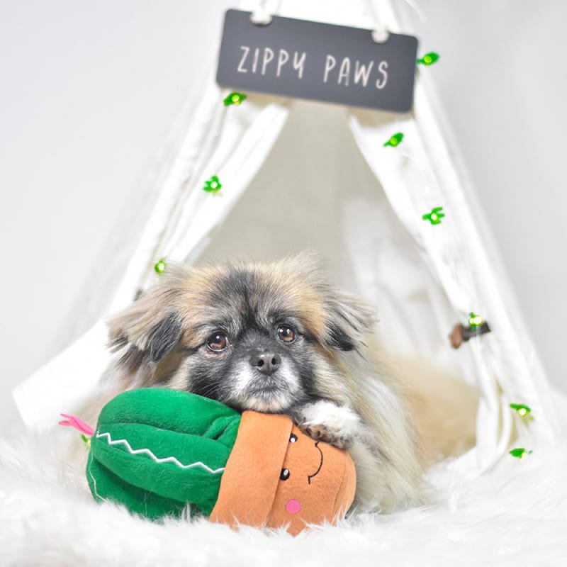 ZIPPYPAWS PLUSH SQUEAKER DOG TOYS CARMEN THE CACTUS professional product photo ready to upload to shopify